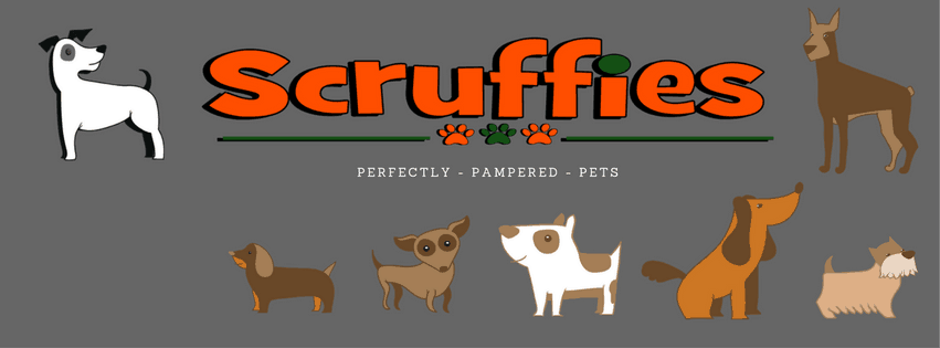Scruffies - Perfectly Pampered Pets