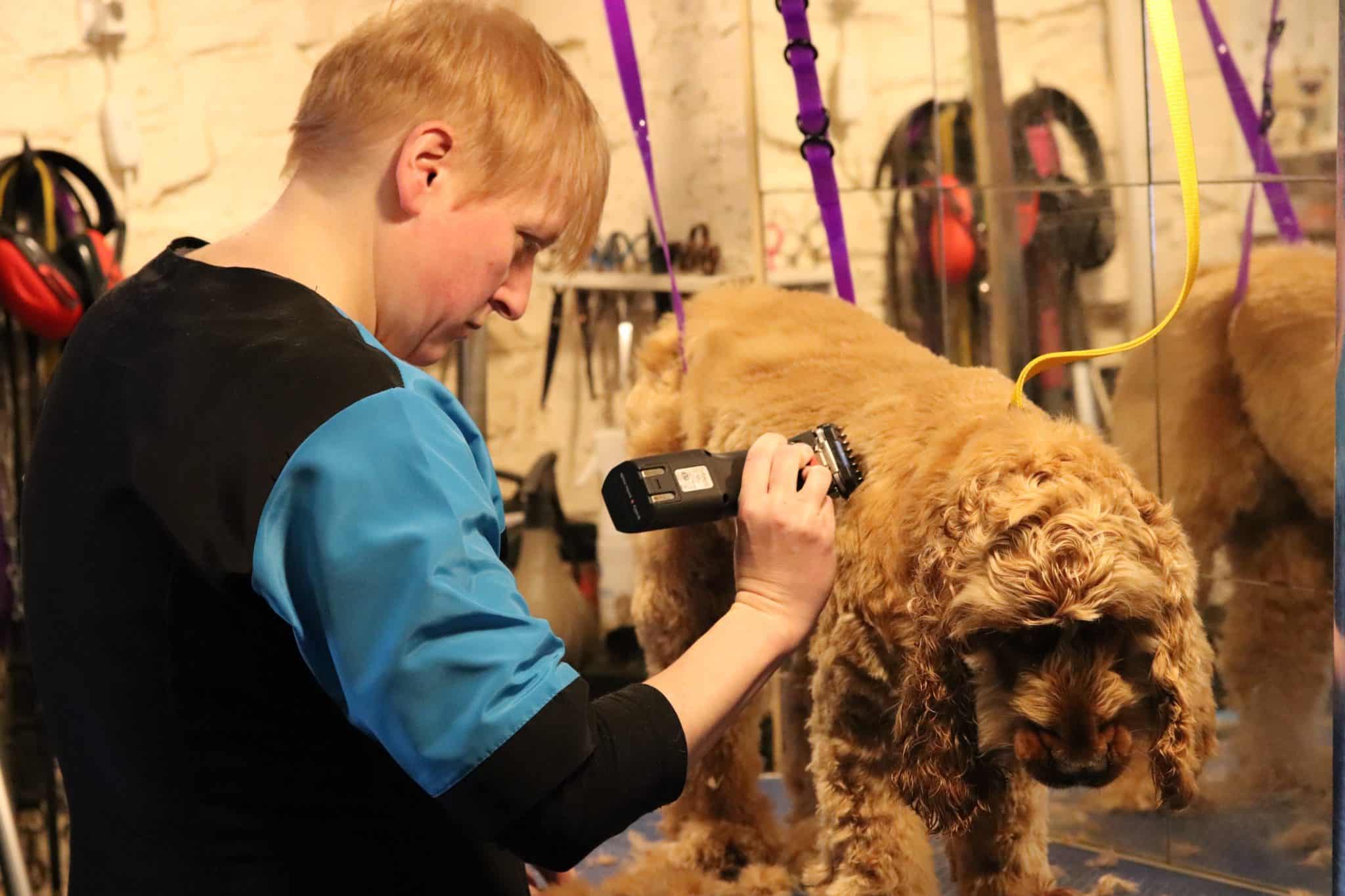 Full Grooming Service